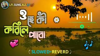 ও হে কী করিলে পাবো  O He Ki Krile Pabo Sowelob Vidieo Bangla Song Lfi.Sung.Ali.🎶🎻