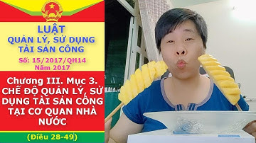 Luật Quản Lý Sử Dụng Tài Sản Công 2017 - Chương 3. Mục 3. SỬ DỤNG TÀI SẢN CÔNG TẠI CƠ QUAN N.NƯỚC