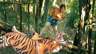 The girl builds huge tiger trap to catch angry tiger follow her
