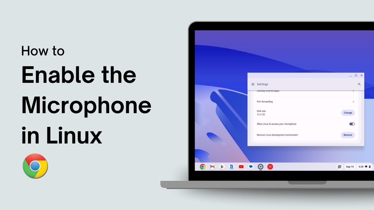 How to Enable the Microphone in Linux on a Chromebook - YouTube