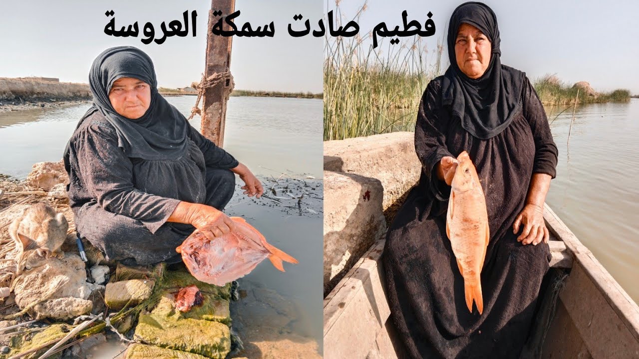 حجية كبيره في السن تصيد سمكة العروسة بعد مرور ٤ سنوات من ترك الصيد