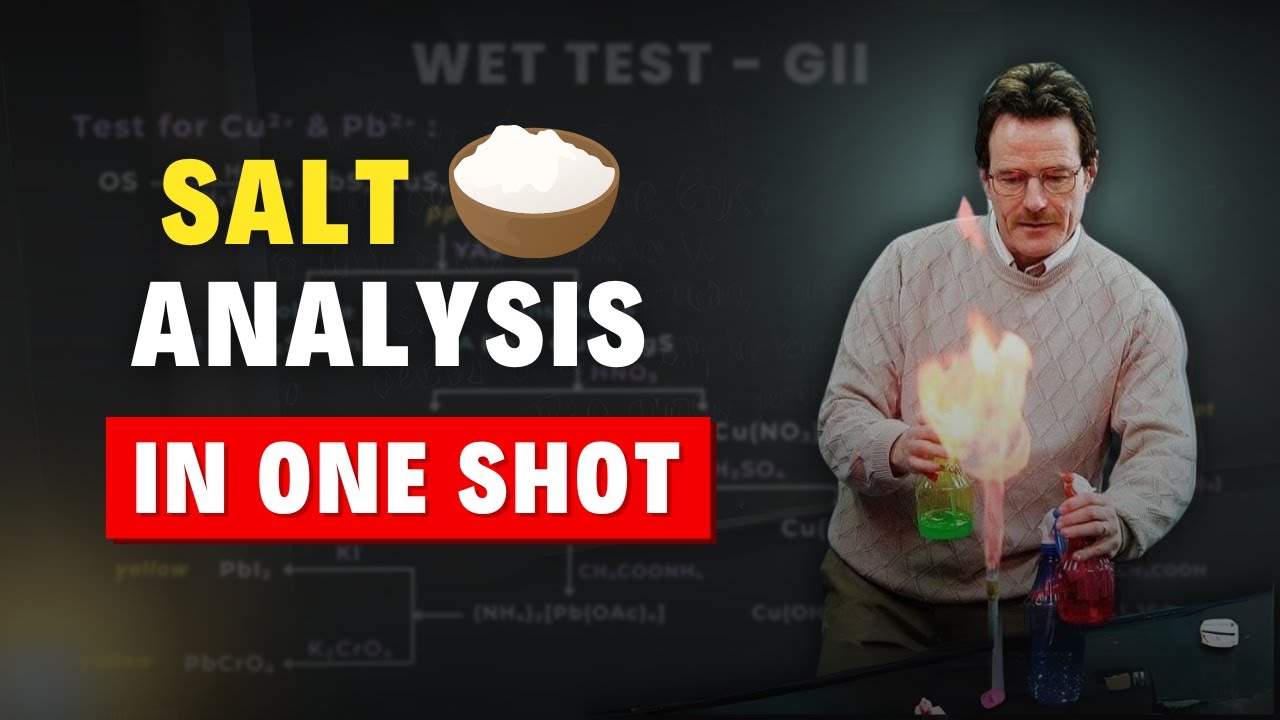 Salt Analysis in One Shot for JEE Mains 2024 - YouTube