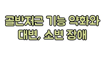 골반저근의 기능 이상이 대소변 장애에 미치는 영향. 신경외과 전문의 남준록 원장.