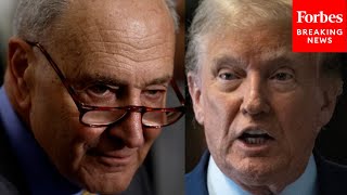 'They Think Chaos Will Help Them Win': Schumer Slams GOP For Killing Border Deal To Benefit Trump