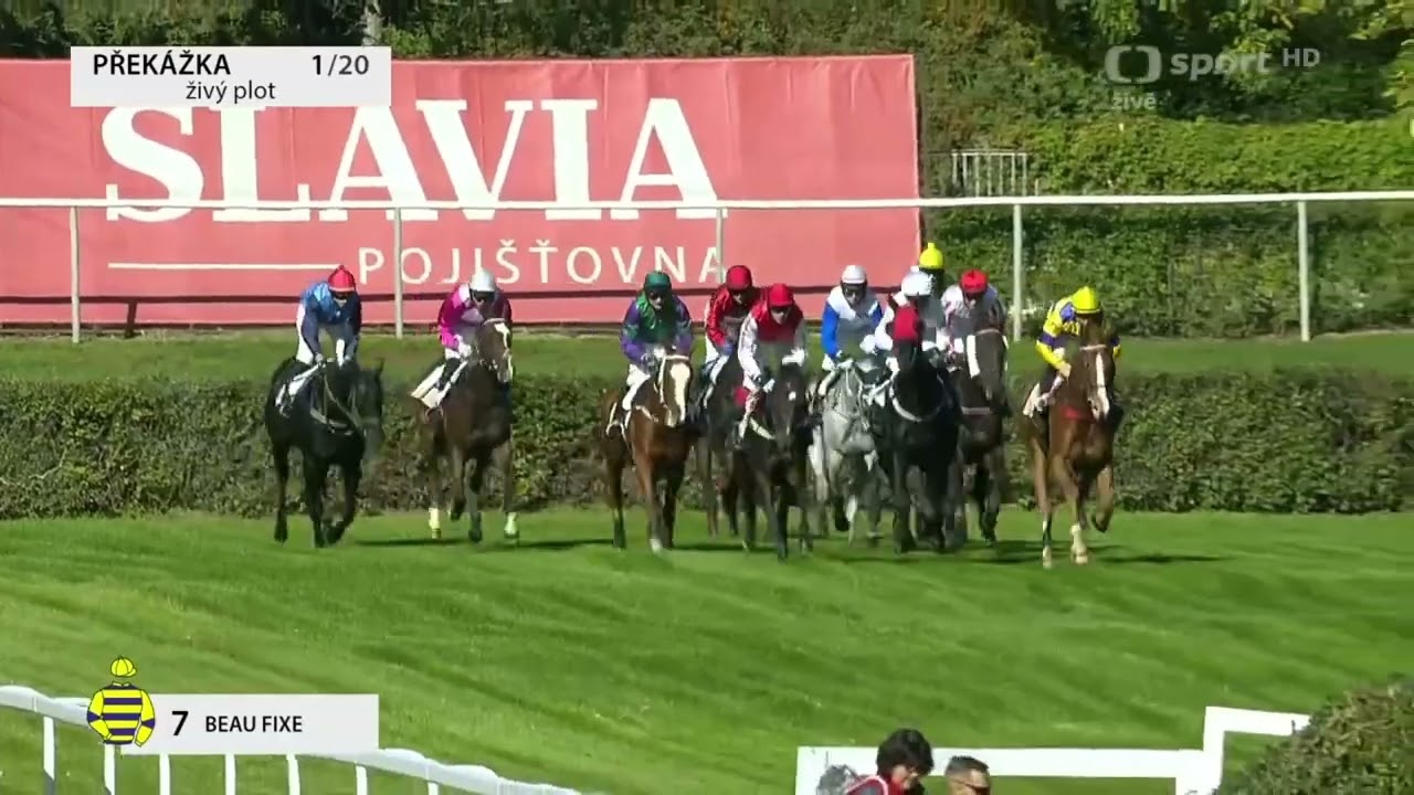 132. Velká pardubická steeplechase 2022 - all sunday races