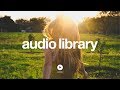 Carefree - Kevin MacLeod (No Copyright Music)