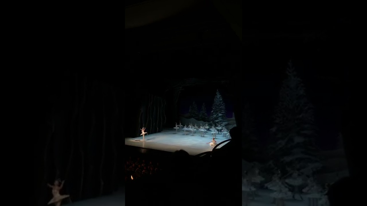 Opera and Ballet Performance in Poland/Warsaw(Polonya/Varşova' da Opera ve Bale Gösterisi)