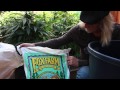 Grow Cannabis – Mixing Soil – by Jorge Cervantes