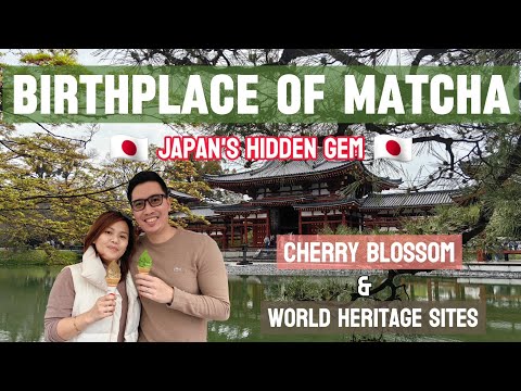 UJI: KYOTO'S HIDDEN GEM | HOME OF MATCHA + CHERRY BLOSSOM + WORLD HERITAGE SITE | JAPAN VLOG 2024