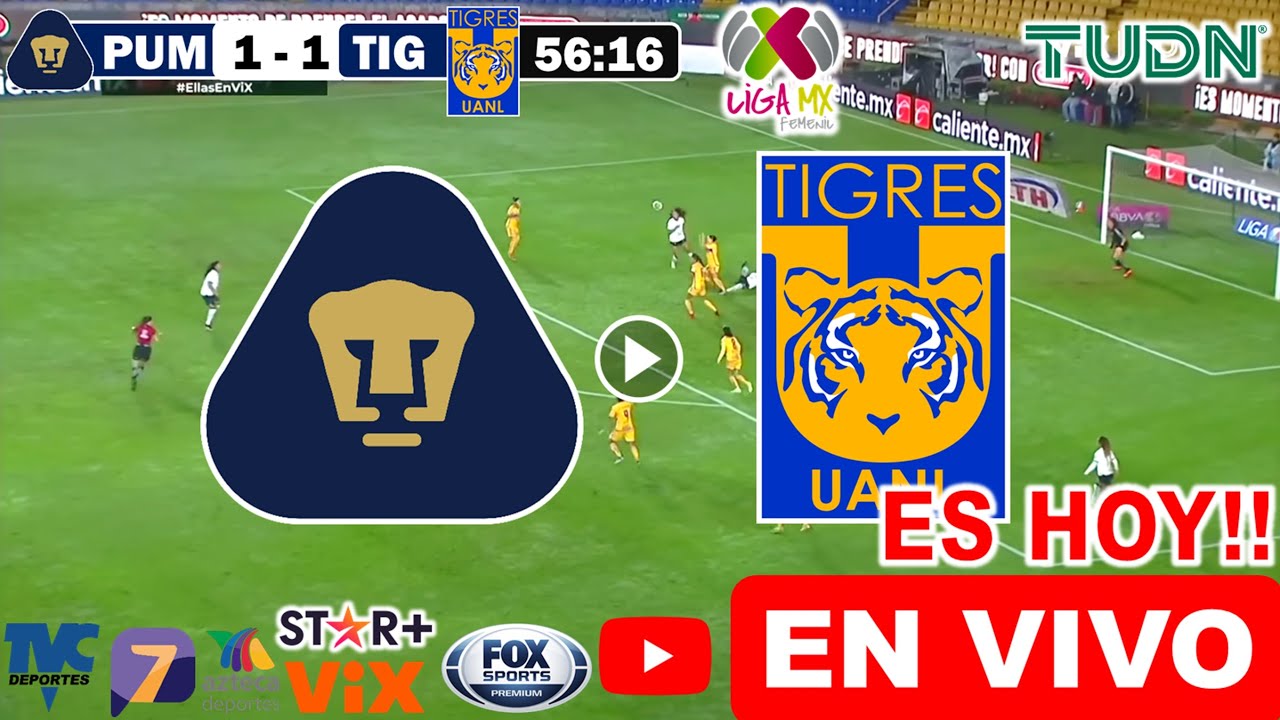 Pumas vs. Tigres EN VIVO donde ver y a que hora juega pumas vs. tigres ...