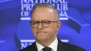 ‘Australians don’t like to be patronised’: Labor’s $20m ad campaign on fuel under fire