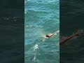 اتظبط لظبطك هيثم عبد الله 
