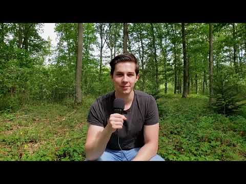 Why You Never Have Enough Time