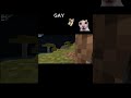 bro he is gay?