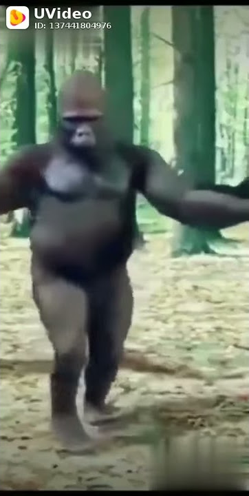 Jhhh