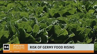 Risk of getting sick from food borne illness on the rise