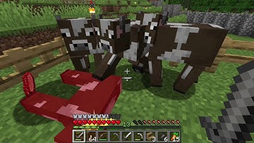 Back To Basics Survival Part 13