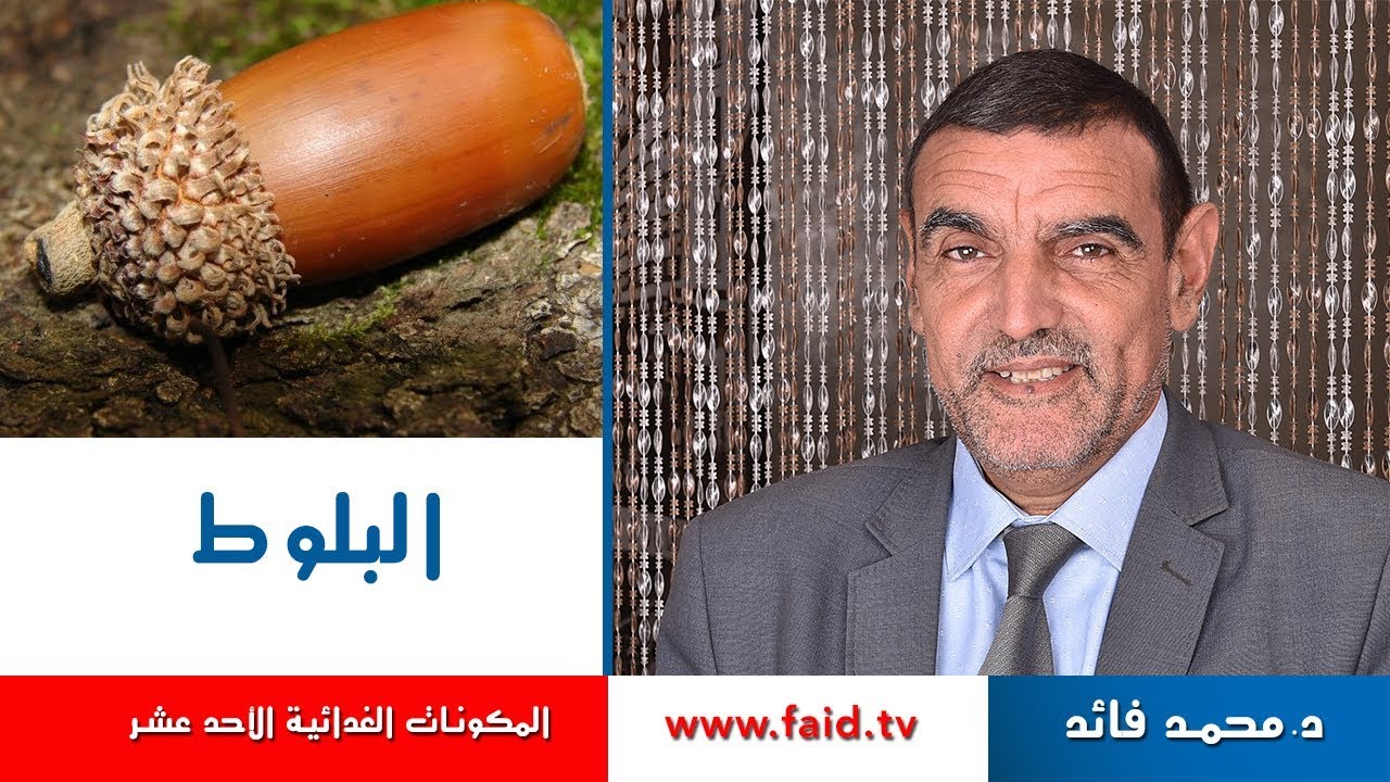 Dr faid |البلوط | الفواكه الجافة | المكونات الغذائية الأحد عشر |
