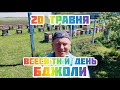 ✅Анонс потужного заходу із бджільництва