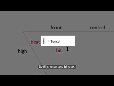 Wideo: Czym jest przednie w fonologii?