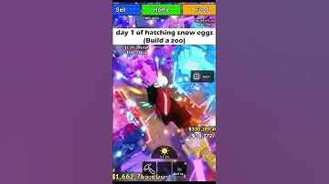 Day 1 of Hatching Egg on Roblox Build A Zoo🦖 #buildazoo #roblox #robloxbuildazoo #trending