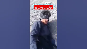 هلک موټی وهلی وو ههههه د طالبانو سزا سبسكرايب یی کړی ملګرو 