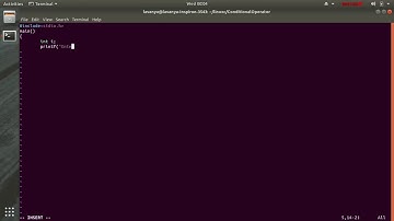 Linux C program to find Positive Or Negative number using Conditional Operator