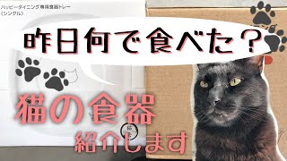 うちで使ってる猫のご飯用食器のご紹介