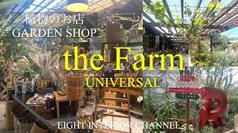 ザファームユニバーサル Youtube