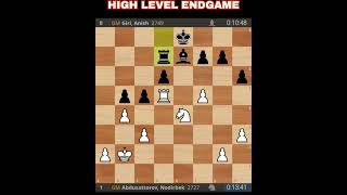 Tata Steel Masters 2024 : High Level Endgame