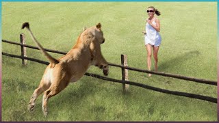 Des Animaux Réunis avec leur Maître des Années Après !