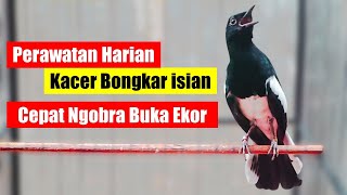 Kacer Care for Unloading | How to Get Kacer to Unload |