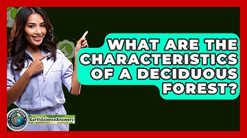 What Are The Characteristics Of A Deciduous Forest? - Earth Science Answers