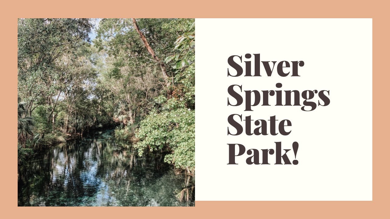 Silver Springs State Park! Camping, glass bottom boats, and gorgeous hiking trails!