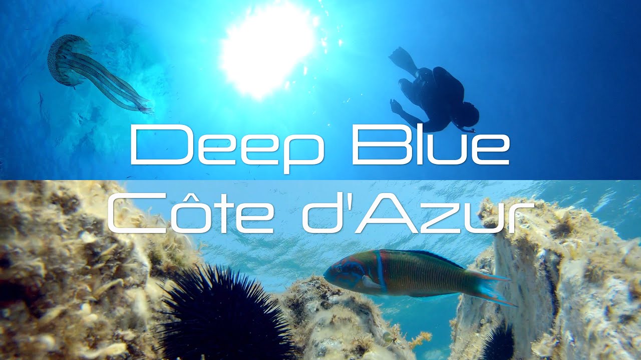 DEEP BLUE - Côte d'Azur - Port Cros National Park