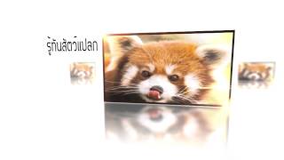 Video thumbnail of "Title รายการรู้ทันสัตว์โลก (Black White Studio)"