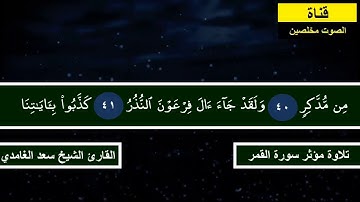 تلاوة مؤثر سورة القمر القارئ الشيخ سعد الغامدي