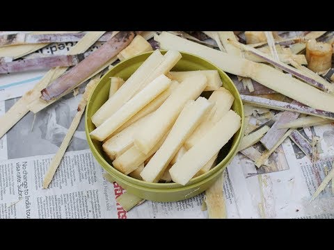 How to eat Sugar Cane