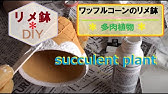 100均diy ダイソー購入品だけでリメイク鉢多肉植物寄せ植え作ってみた 1 Youtube 100均diy ダイソー購入品だけでリメイク鉢多肉植物寄せ植え作ってみた 1 Youtube