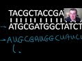 Understanding Transcription and Translation