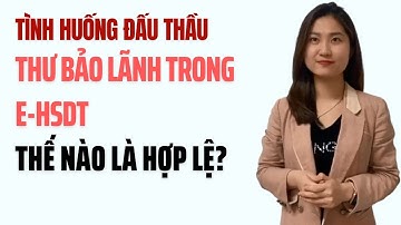 Tình Huống Đấu Thầu: Thư Bảo Lãnh Trong E-HSDT Thế Nào Là Hợp Lệ?