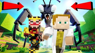 Thumbnail for 🪲 kudlanka VS GEJMR a Alkan