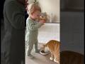 自分が運んだ猫の餌を猫が食べて喜ぶ赤ちゃん👶🐱#cat #cats #baby #cute #funny #shorts #catvideos #赤ちゃん #猫のいる暮らし