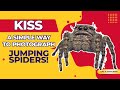 KISS - A Simple Way to Photograph Jumping Spiders! | Macro Photography