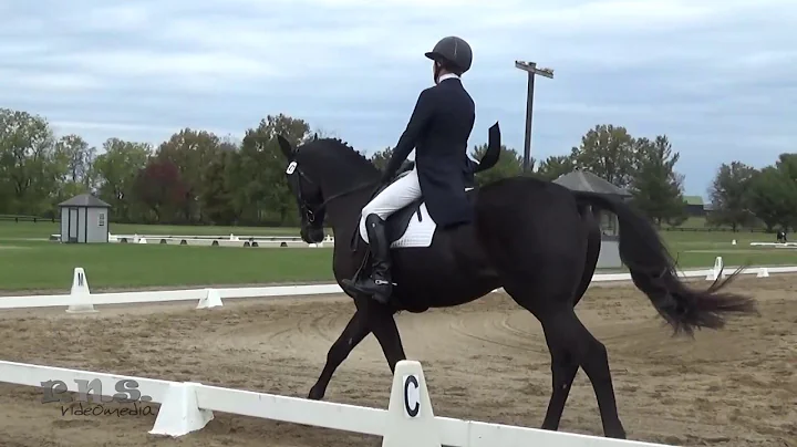 Beth Perkins & Handsome Harry at Hagyard Midsouth ...