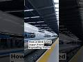 How a Bird Saved Japan from Exploding Trains