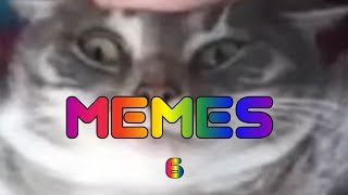 Best Memes Compilation V6