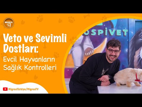 Video: İleri Teknoloji Veterinerler: Daha İyi Evcil Hayvan Sağlığı