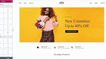 Demo Data Installation for Ellie Multipurpose WordPress Theme (Free)