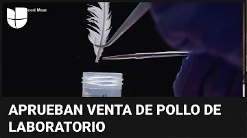 ¿Cuál es la carne de pollo más cara?